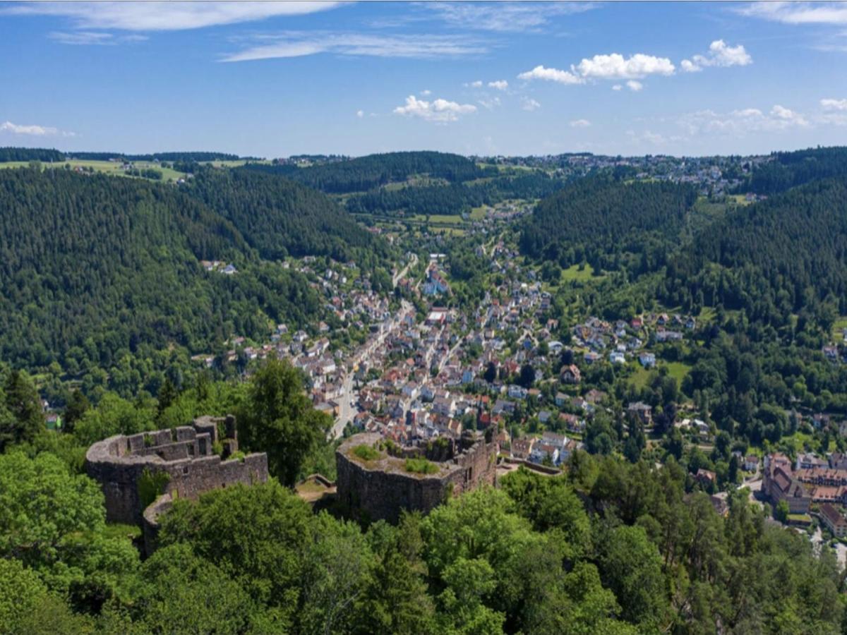 Appartement Haus Schiltach à Schramberg Extérieur photo